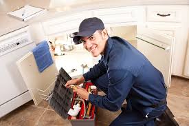 Best Pipe Inspections and Diagnostics  in Sylvania, GA